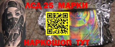 гидропоника Гусиноозёрск