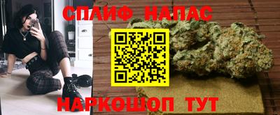 гидропоника Гусиноозёрск