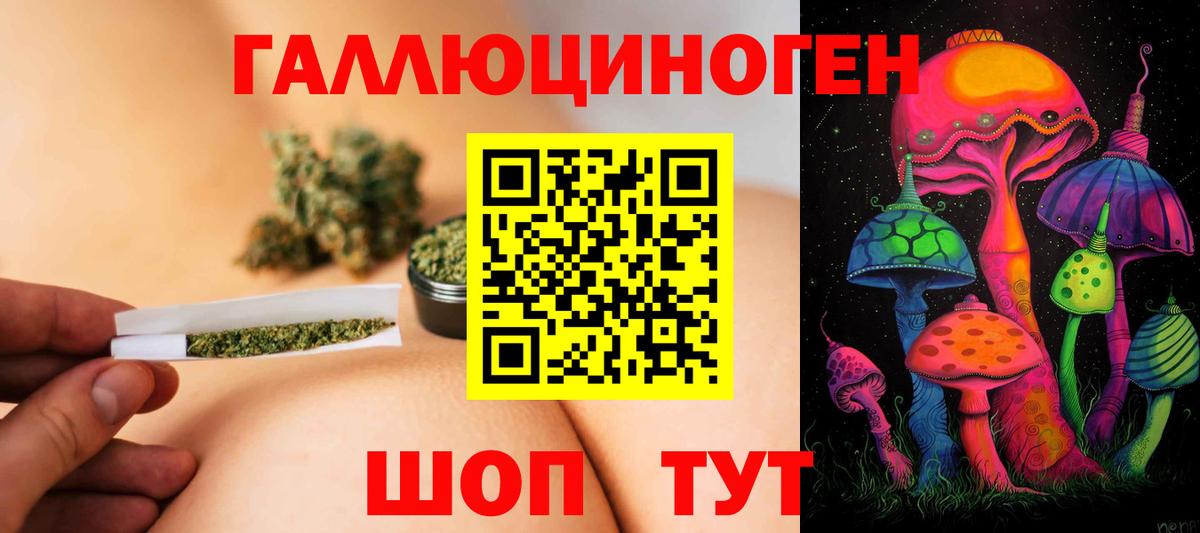 Галлюциногенные грибы Psilocybe  где купить наркоту  Галлюциногенные грибы Cubensis  Нальчик  Вход с VPN 